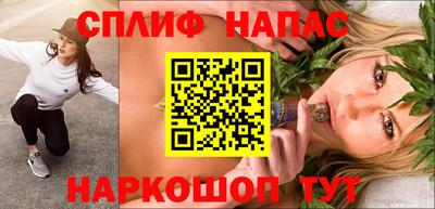 мдпв Партизанск