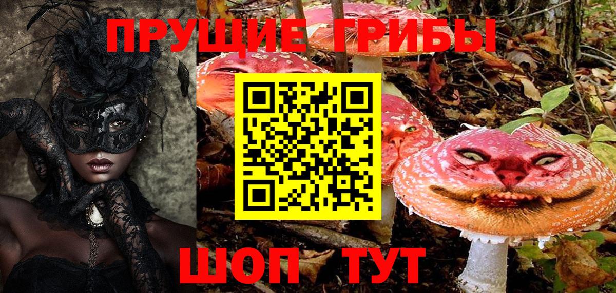 Ростов Великий  Галлюциногенные грибы мицелий  Вход с VPN 